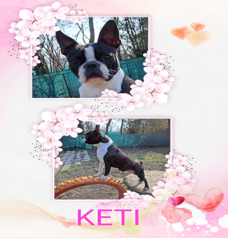 Keti